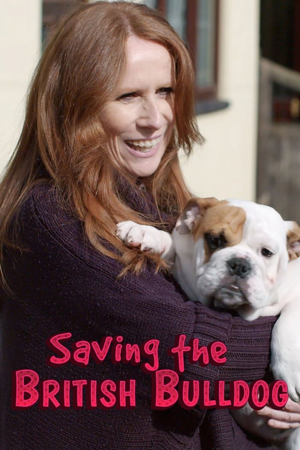 Постер Saving the British Bulldog